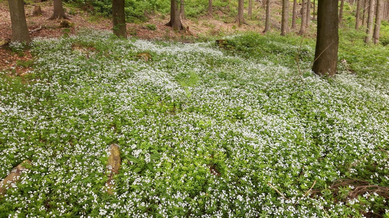 20210609_083800_resized 20210609_083800_resized